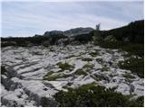 Planina Blato - Čelo